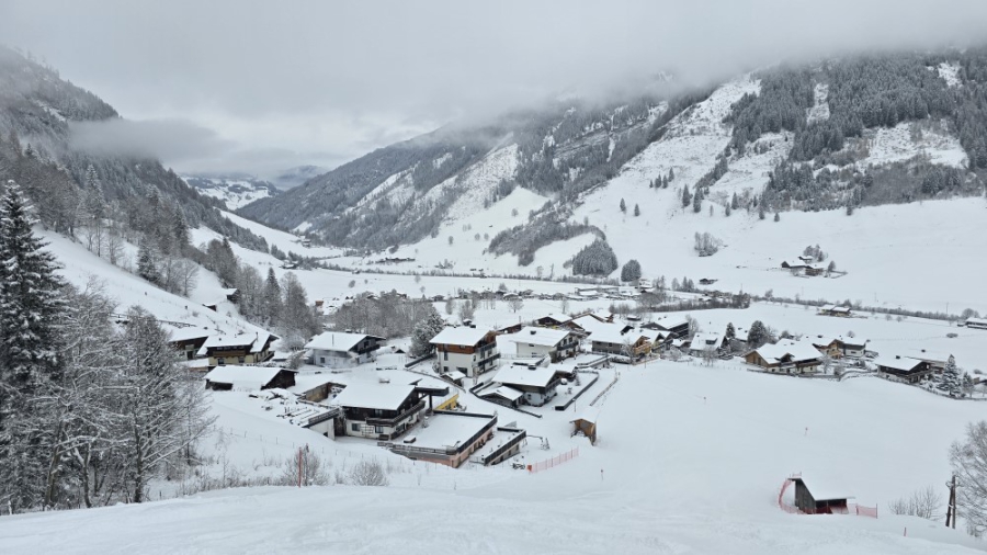 Rauris goud in de sneeuw van het Nationalpark.